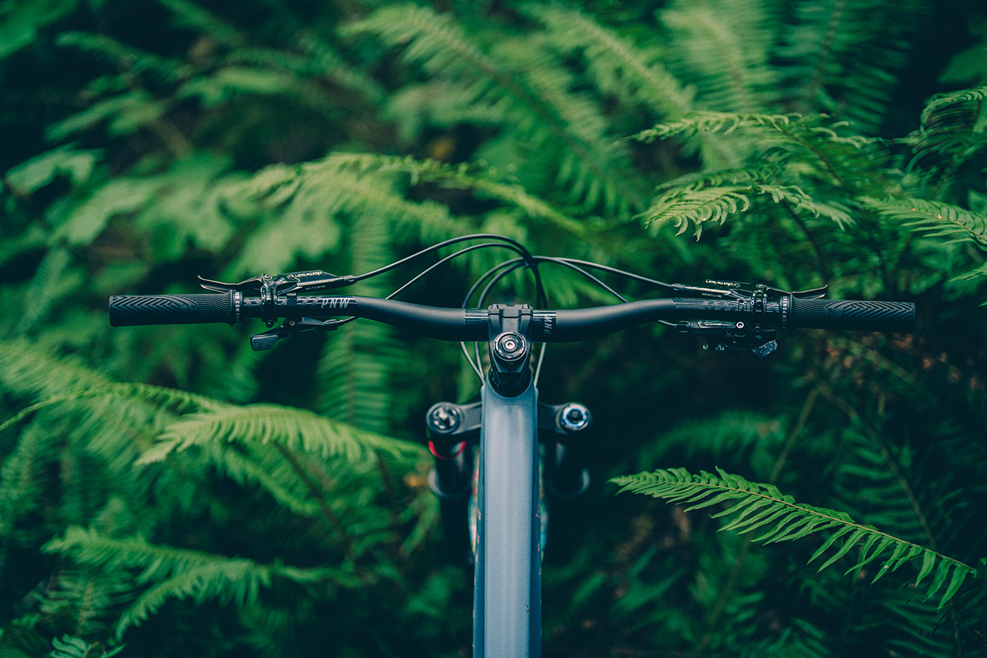 PNW Loam Handlebar Carbon 35mm